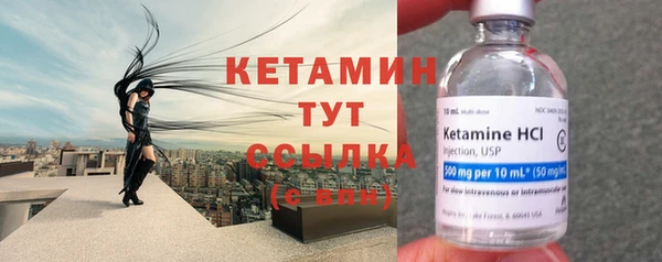 хмурый Верея