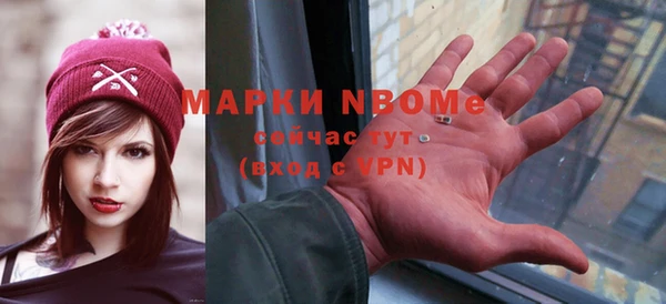 хмурый Верея