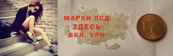 хмурый Верея