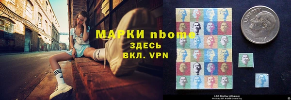 хмурый Верея