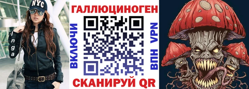 Псилоцибиновые грибы Psilocybine cubensis  Инсар 